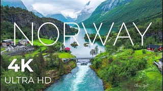 Örnek Video 1